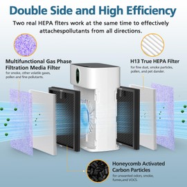 2 Pack HY4866 True HEPA Replacement Filters for MORENTO and WESTHEY HY4866 Air Purifier, YIOU M1 Air Cleaner Purifier, 3-in-1 H13 Ture HEPA for HY4866 Filter Multifunction Version