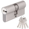 Brass Lock Cylinder 30/30 with 5 Brass Keys, Profile Double