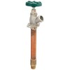 ARROWHEAD BRASS & PLUMBING 466-06LF 1/2" x 3/4" x 6",