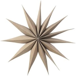 Broste Copenhagen Star.