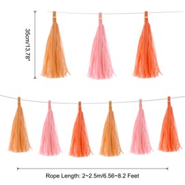 MECCANIXITY 30Pcs Light Pink, Bright Orange, Dark Orange Tassel Garland Banner with Rope Tissue Paper Tassels Party DIY Kits for Anniversary Wedding Birthday Party