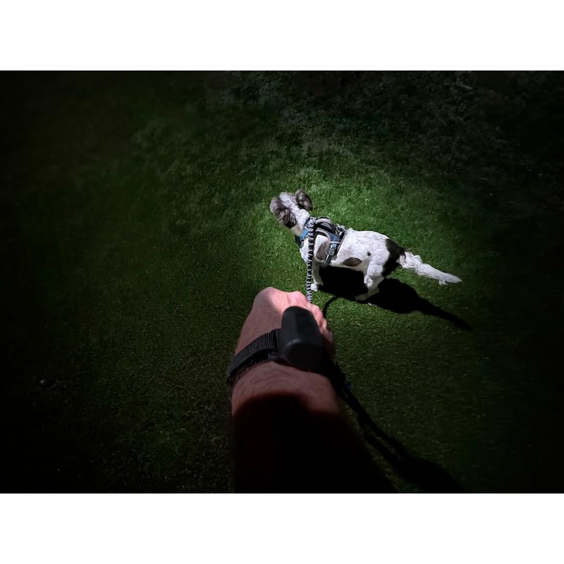 Ironwear 8075 LED Adjustable Hands Free Flashlights for Dog Walking