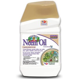 Neem Oil Fungicide Miticide Insecticide Conc