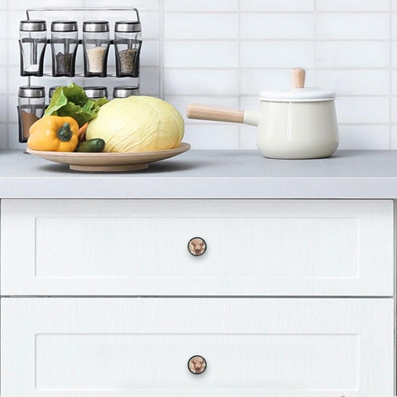 NEWzone 4 Pack Drawer Pulls Highland Cow Daisies Cabinet Knobs