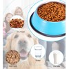 Podinor Stainless Steel Dog Bowls, Food and Water Non Slip