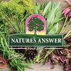 Nature's Answer, Peribrite Toothpaste Coolmint (Zahnpasta mit Minze), 113g, Laborgeprüft,