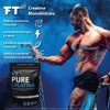 Creatina Monohidratada Micronizada de Alta Pureza 500g 100 Servicios de