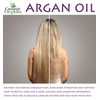Argan Hair Oil Treatment - Hydrating Hair Treatment - Repair,