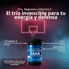 Zma Citrato Magnesio Zinc Vitamina Cápsulas 230 500 Suplemento Alimenticio