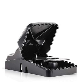 eXuby Large Powerful Rat Traps - Kills Instantly with Powerful Steel Spring - Setup in Seconds - Wash & Reuse Over & Over - Hands Free Disposal - Rat Control Without Harmful Poisons (6)