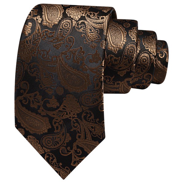 GUSLESON 3.15"(8cm) Fashion Paisley Ties Mens Woven Jacquard Necktie for