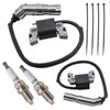 Rebuiman 595304 Ignition Coil Armature Magneto Fit for 799650 592841