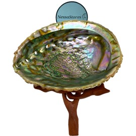 NessaStores 2 pc | Abalone Shell 6"-7" Inches & Tripod Stand 6 Inches | Beautiful All Natural Smudge Bowl - Perfect for Smudge Sticks, Incense Sticks and a Sage Smudge Kit. JC-213-B