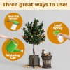 TPS Nutrients Orange Tree Fertilizer, Complete Liquid Orange Tree Citrus