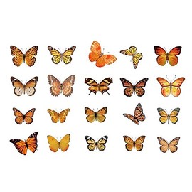 Kurimi Stickers Set of 40 Butterflies, Foil Stamping, Wrapping, Stylish, DIY Stickers, Cute, Notebook, Decorative (Amber)