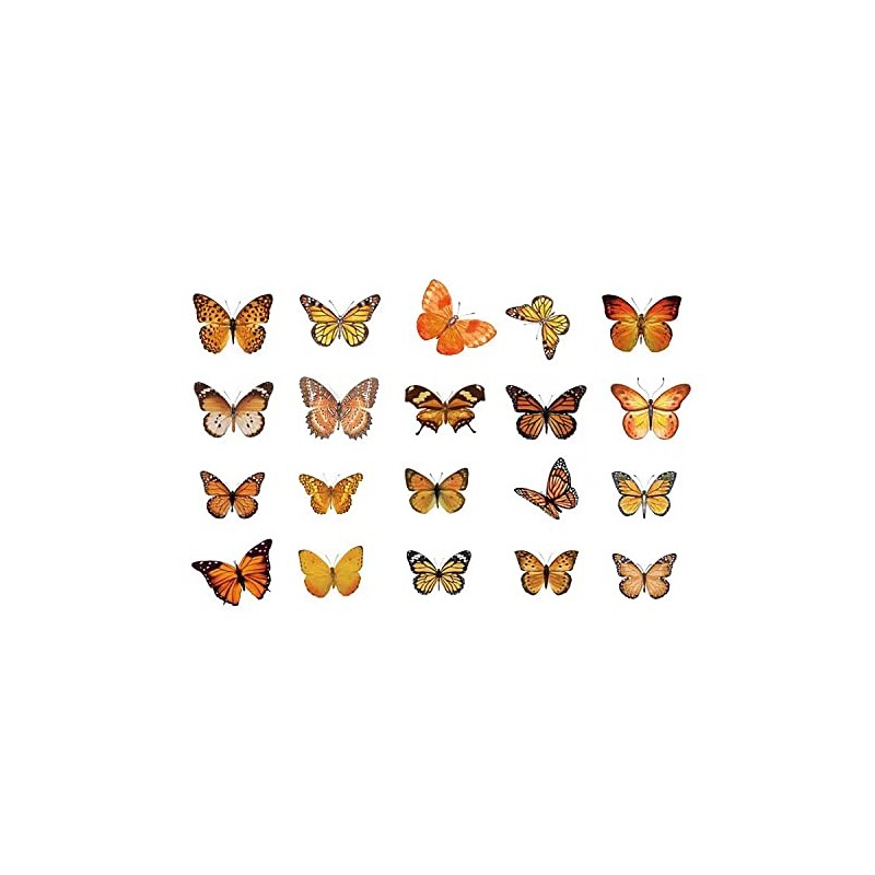 Kurimi Stickers Set of 40 Butterflies, Foil Stamping, Wrapping, Stylish,