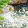 Weitz-Wasserwelt Starter Bacteria - Highly Active Microorganisms for Garden and