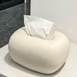 Ceramic object tissue case / 세라믹 오브제 티슈 케이스