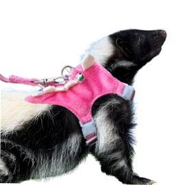 Anelekor Ferret Harness and Leash Set Small Animals Vest Harness with Safe Bell Dinosaur Shaped Walking Clothes for Baby Rabbit Guinea Pig Teacup Chihuahua Mouse and Other Small pet. (Pink Dinosaur)