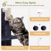 Globlazer Cat Tree Tower for Indoor Cats, 50-inch Adult Cat