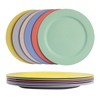 greenandlife 10inch/6pcs Dishwasher & Microwave Safe Wheat Straw Plates -