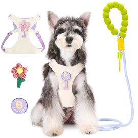 LBASE Dog Harness and Leash Set with 2 Flower Patches, No Pull Adjustable Puppy Harness, Step in No Chock Dog Vest for Small Medium Dogs Puppy and Cats(Khaki, XS)