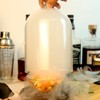 TMKEFFC Smoking Cloche For Food Drinks With Wood Base, Cocktails