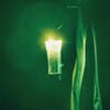 RODGERS [Compatible with Goal Zero] Amber Lamp Shade (Green) Cover,