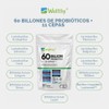Wellthy Probioticos 60 Billones 11 Cepas. 45 Cápsulas Mes y