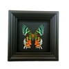 Real Framed Sunset Moth Display Shadow Box