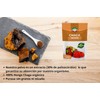 Chaga orgánico en polvo 120g – Potente antioxidante Sabia Madre