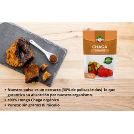 Chaga orgánico en polvo 120g – Potente antioxidante Sabia Madre Tierra