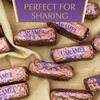 Almond Roca Pack of 2 Sea Salt Caramel Roca Canisters