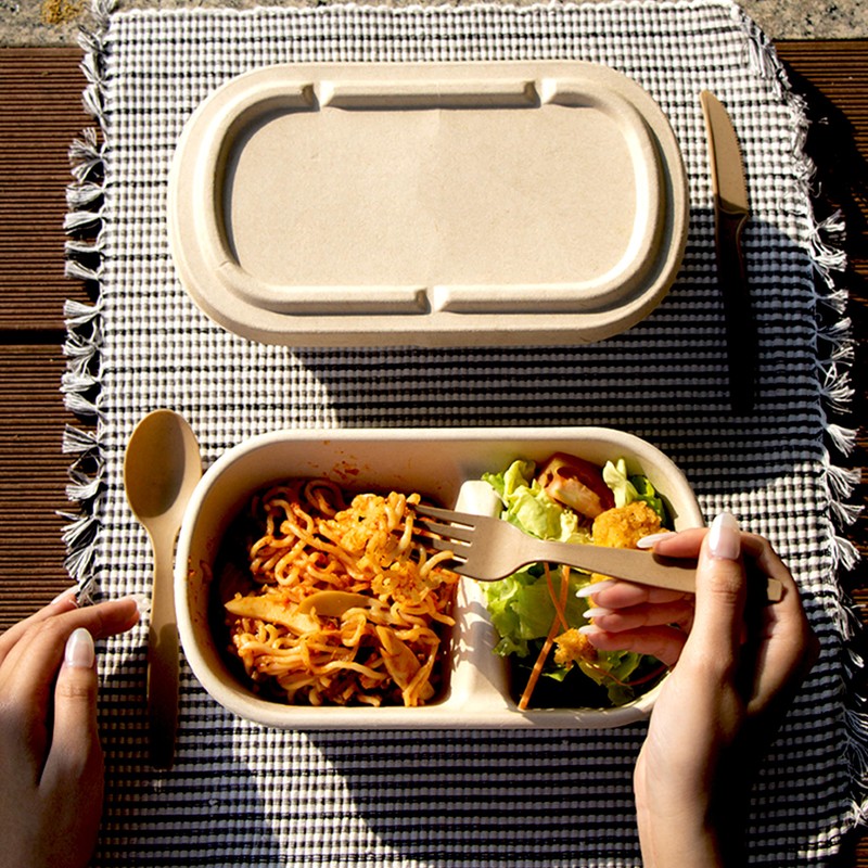 EQUO Sugarcane Utensils, Biodegradable and Compostable Spoons, Pack of 15