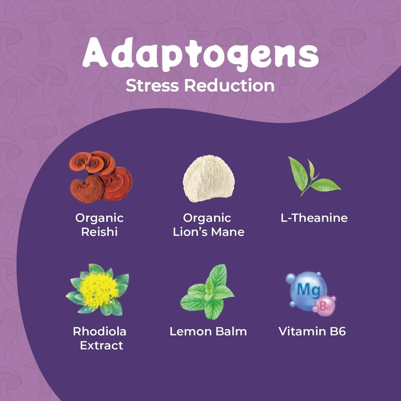 Melting Forest Mushroom D-Stress, Sparkling Adaptogen Drink with L-Theanine, Lion's