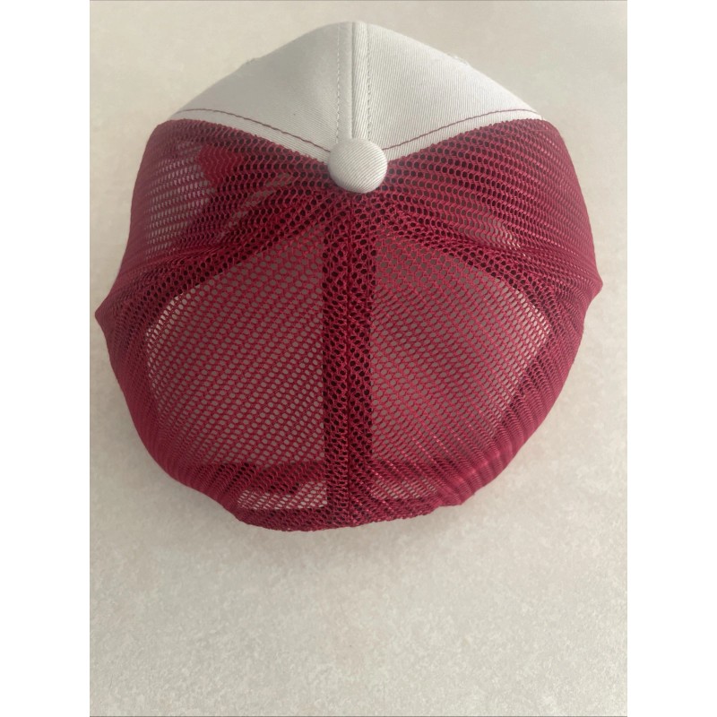 ARIAT Men's Blue Shield LogoBaseball Cap