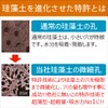 [Made in Japan] Diatomaceous Earth Kitchen Dish Drying Drying Mat