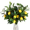 Giegxin 6 Pcs Artificial Lemons Tree Branches 18 Inch Faux