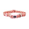 Olahibi Dog Collar and Leash Set, Cute Cherry Pattern, Polyester