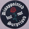 Disappointed But Not Surprised Patch Embroidered Applique Badge Iron On