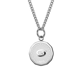 HIJONES Men's Stainless Steel Round Coin Constellation Necklace Zodiac Sign Pendant with Chain, Metal, Metal