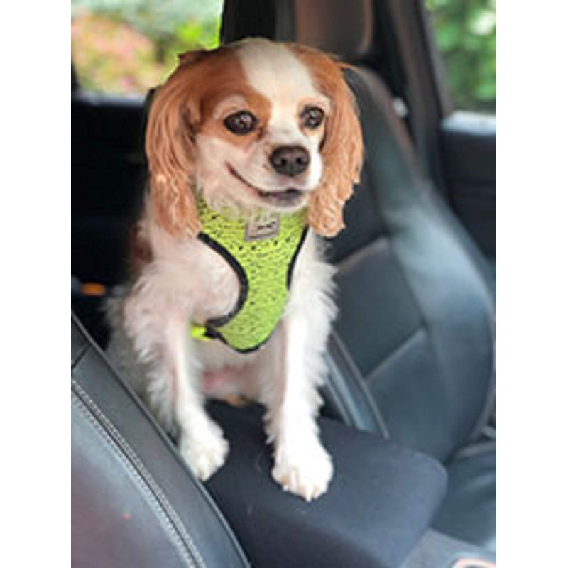 Car Console Covers Plus Made in USA Designed for Jeep