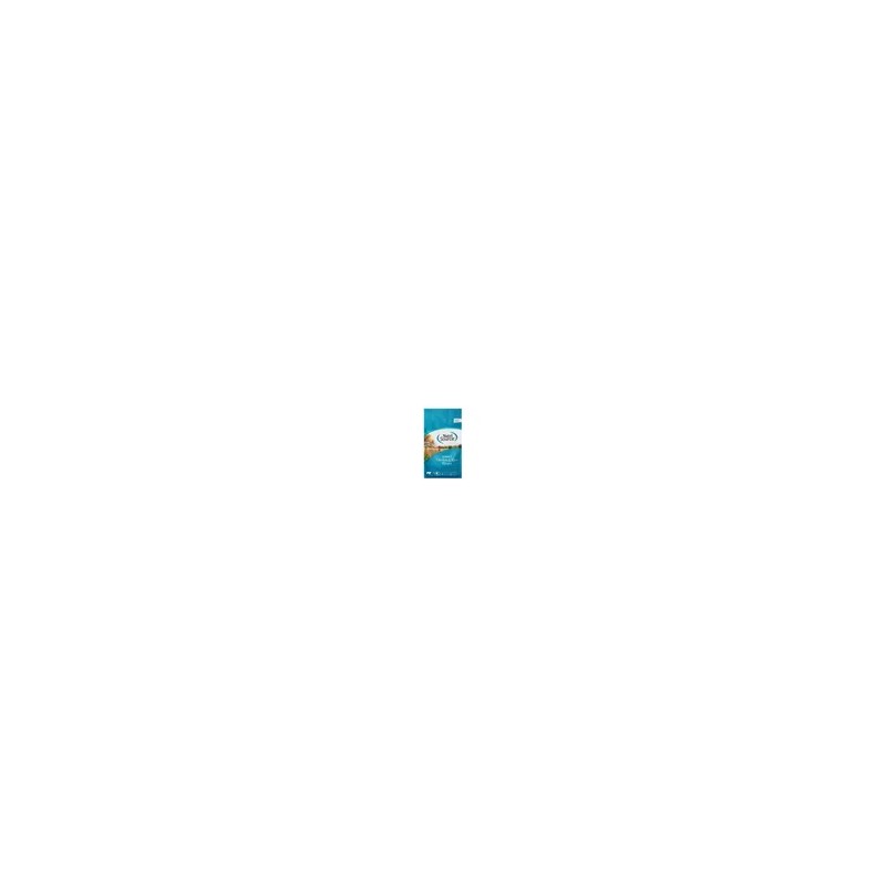 Dietary Supplement Probiotic Probiotics for daily wellness routines, capsules tablets