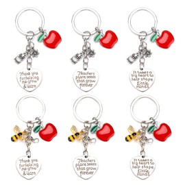 lasuroa 6pcs Teacher Appreciation Keychain Set, Heart Shaped Key chain with Cute Apple Bee Flower Owl Pendant Christmas & Valentines Day & Teachers Day Keyring Thank You Key ring Gifts for Women