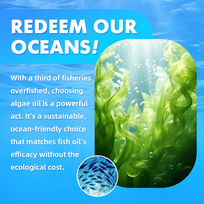 Vegan Omega-3 Gummies - 1600mg with 600mg EPA & 400mg