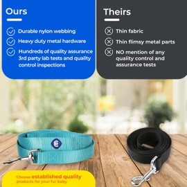 Blueberry Pet Essentials Durable Classic Dog Leash | Basic Nylon Dog Leash | 5ft. x 5/8" Small Dog Leash | Very Berry Dog Leash | Standard Dog Leashes & Lightweight Dog Leash for Training