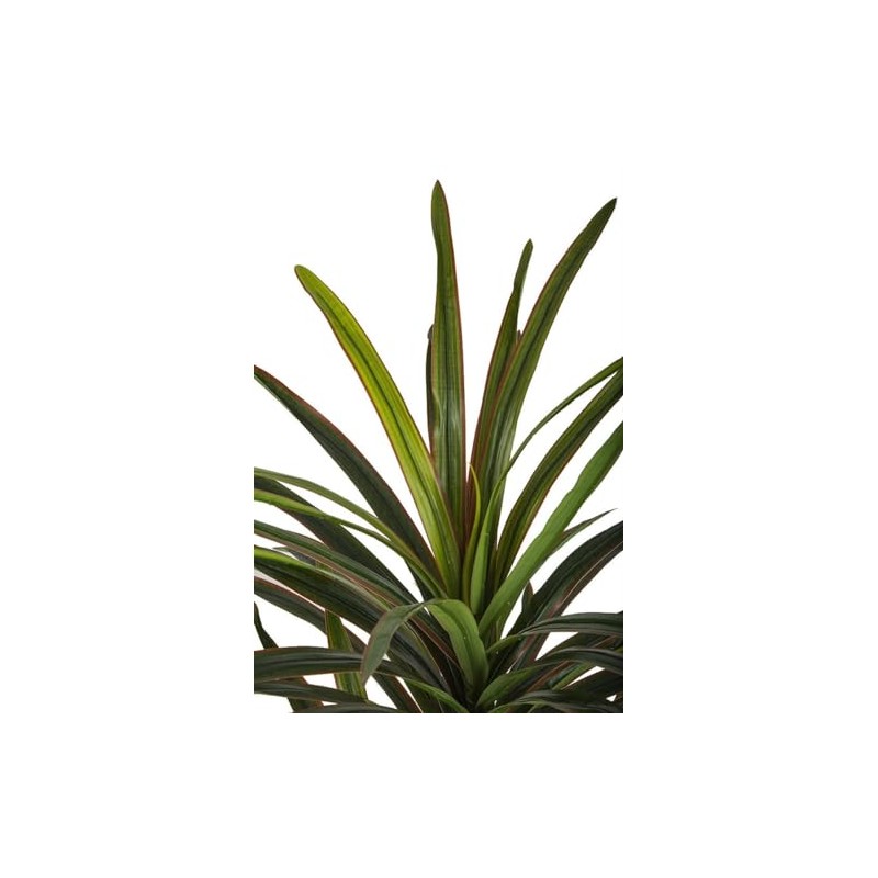 4'6" Real Touch Dracaena Silk Tree w/Pot -Green/Red