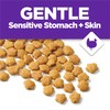 Purina Cat Chow Gentle Sensitive Stomach and Skin Dry Cat