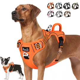 Lukovee No Pull Dog Harness, No Choke Pet Harness with 2 Leash Clips and Easy Control Vertical Handle, Adjustable Soft Padded Dog Vest for Small, Medium and Large Dogs (Medium, Orange)