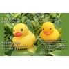 ACEDOAMARE Duck Bike Bell, Cute Rubber Yellow Duck Bicycle Accessories